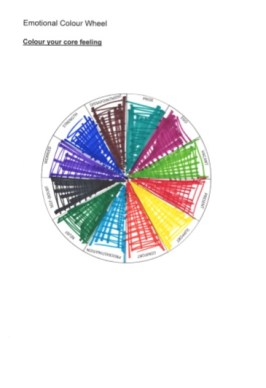 emotion wheel individual 1