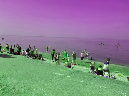 20190420_131504[color]