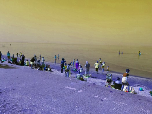 20190420_131504[colorblue]